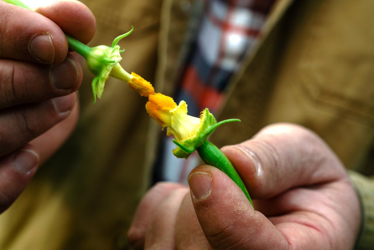 Dan Barber tweet media