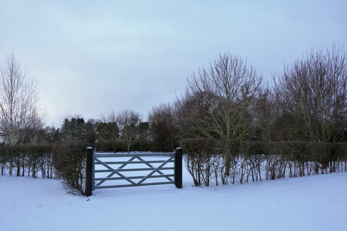 BoundaryStables's tweet photo. First proper snow at Boundary Stables Happisburgh, Norfolk https://t.co/RUthx4XfGP