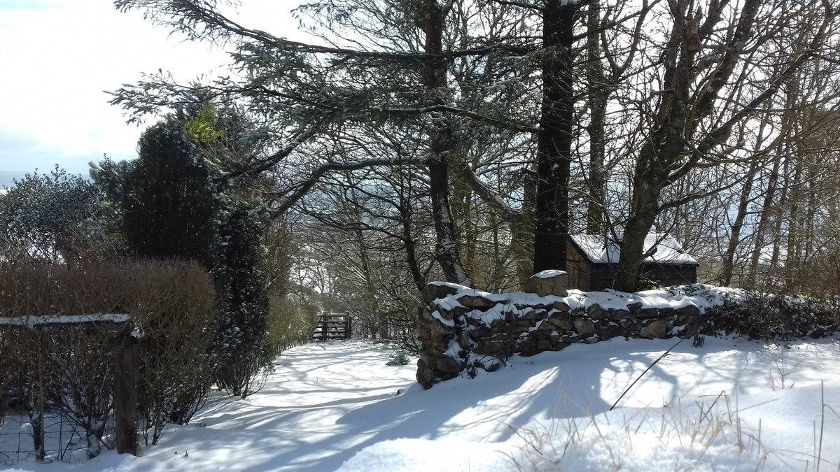 GorslwydCottage's tweet image. Some snowy scenes today at Gors-lŵyd! #llithfaen #snow #eira #northwales #llynpeninsula @GoNorthWales @visitwales @WeLoveLlyn
