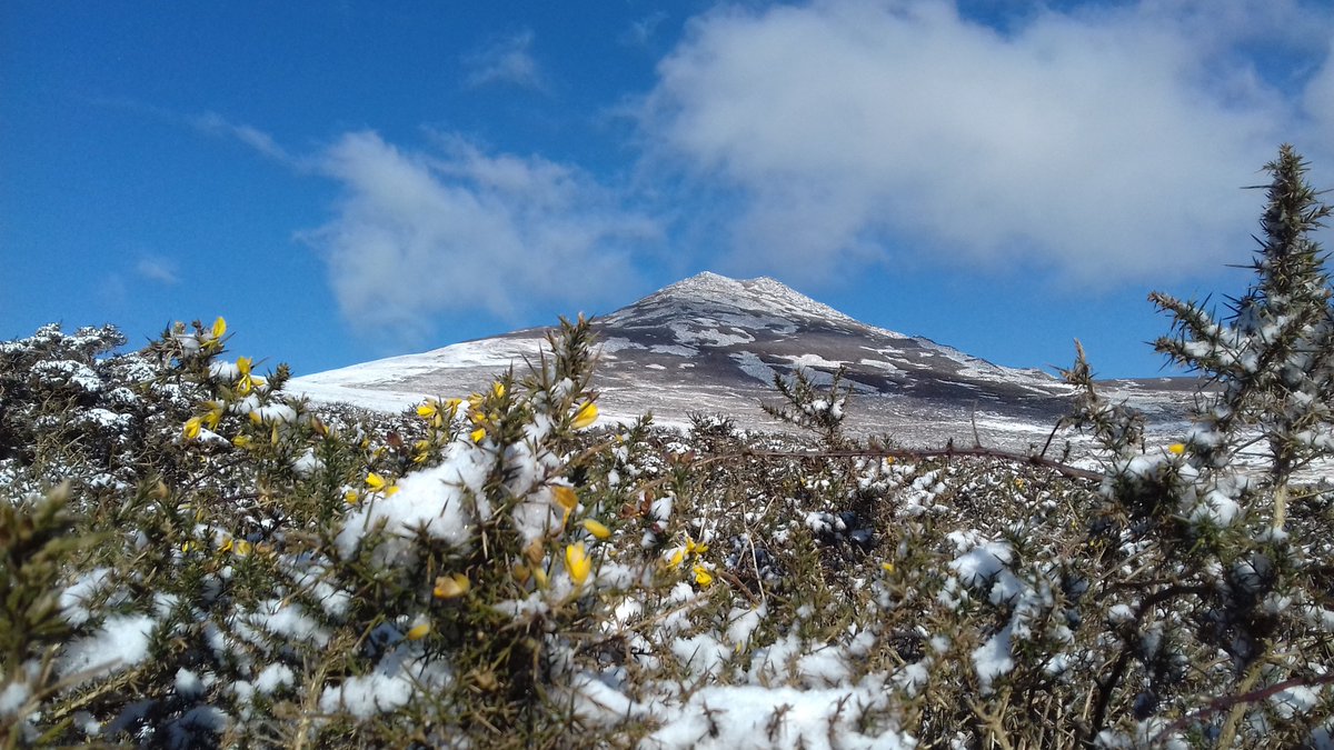 GorslwydCottage's tweet image. Some snowy scenes today at Gors-lŵyd! #llithfaen #snow #eira #northwales #llynpeninsula @GoNorthWales @visitwales @WeLoveLlyn