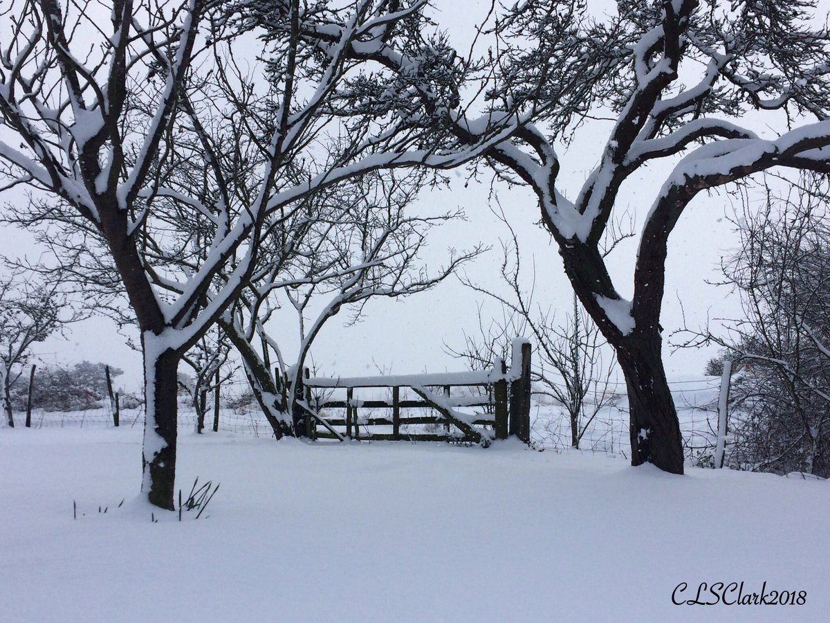 Phone pic today #snow #snowday #SnowWatch #WinterWonderland #kent #iPhone #photo #photography <a href="/VisitKent/">Visit Kent</a> <a href="/ExploreKent/">Explore Kent</a> <a href="/kentlife/">Kent Life</a>