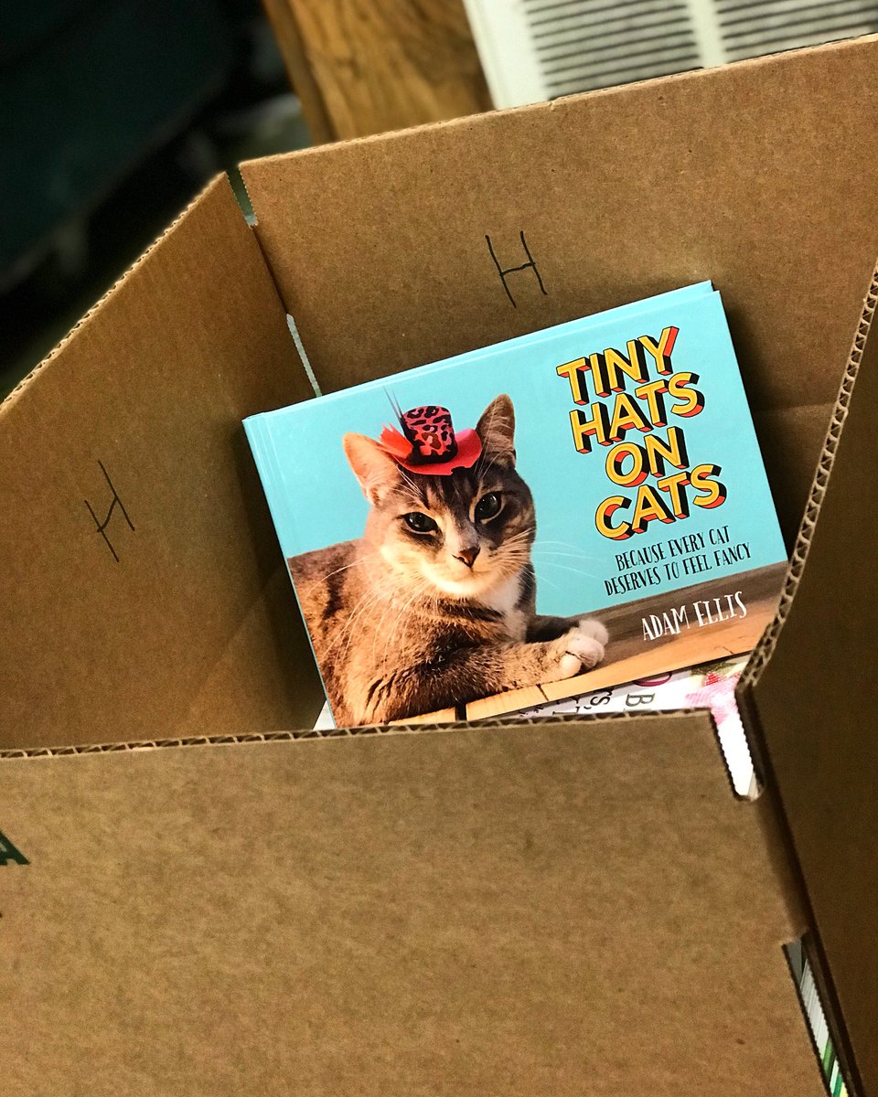 hats for cats book