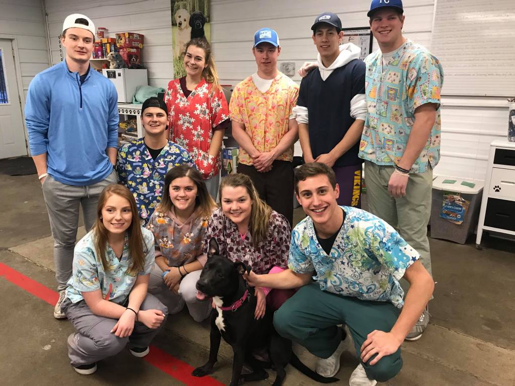 Read about Pi Sigma Epsilon's visit to the Winona Humane Society wsupisigmaepsilon.wordpress.com/2018/02/27/pse…