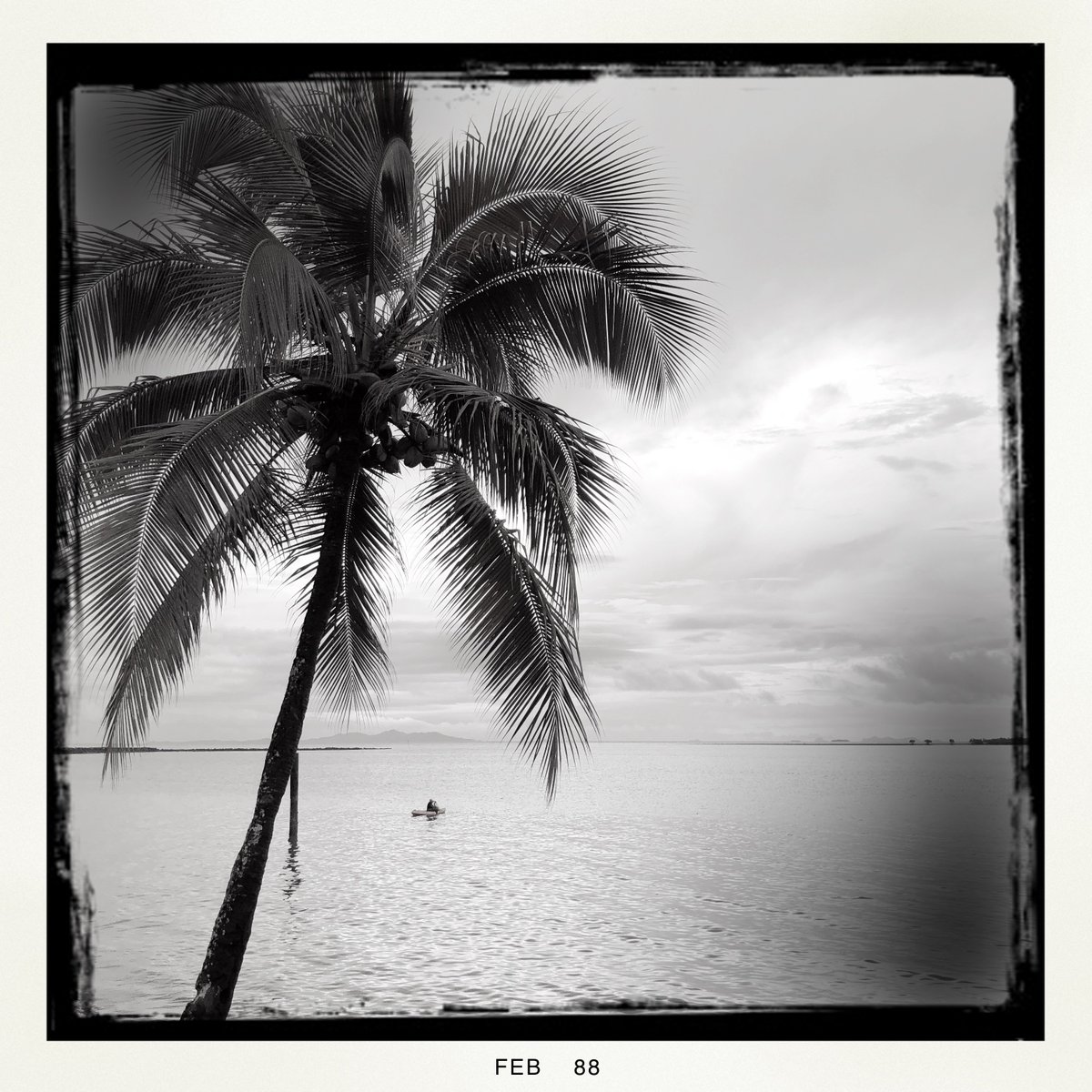 Kevin23546's tweet image. #Hipstamatic #AuroraNCL #BlacKeysBW #Standard #HipstaOfTheDay #iPhoneOnly #BlackAndWhite
