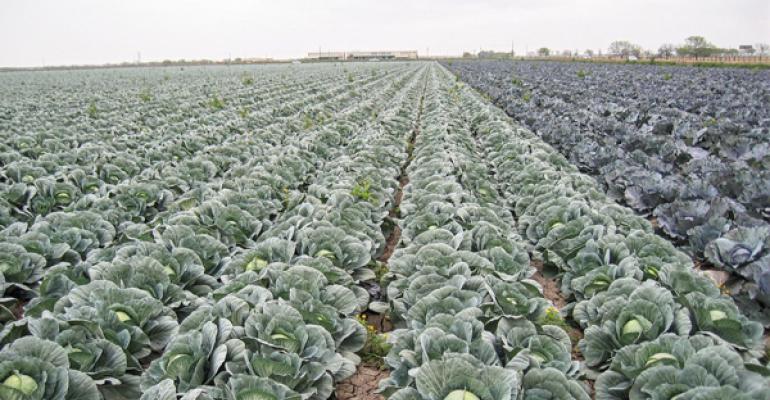 IrrigationIC's tweet photo. NEXT WEEK! FREE!
#VegetableIrrigation Advances Program for #RioGrandeValley growers
March 6, 2018, 8am-12pm
Mission, TX
https://t.co/rPx8Ikf4yb
#WaterConservation #WaterTech #AgWater #IrrigationEfficiencies #DataIntegrationTools #CropPerformance https://t.co/SB4D77OXIW