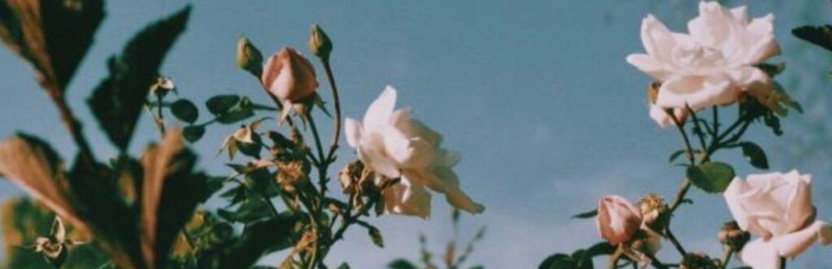 armyprojects's tweet image. ▪ threads
