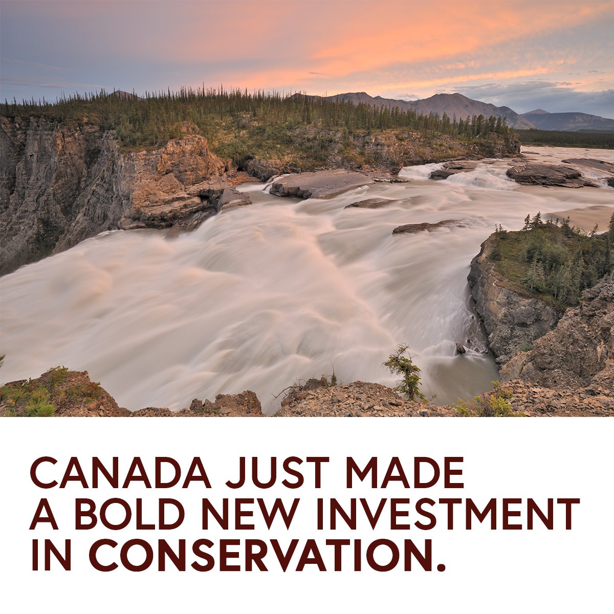 Borealconserve's tweet photo. #Canada's historic investment in #conservation and the recognition of #Indigenous community leadership in creating parks and protected areas is appreciated!  #YourBudget2018 https://t.co/SpzMjtunEC
