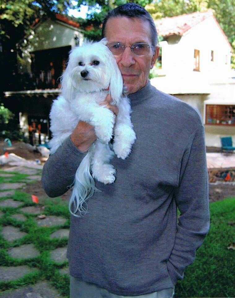 And they called it puppy love... 💜
#LeonardNimoy #puppylove #embracingthelight