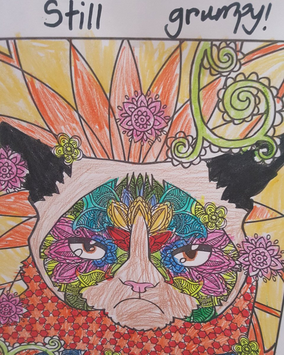 KevenSkinner's tweet image. Alivia colored this today at school to give to me. She gets it. #grumpycat #stillgrumpy