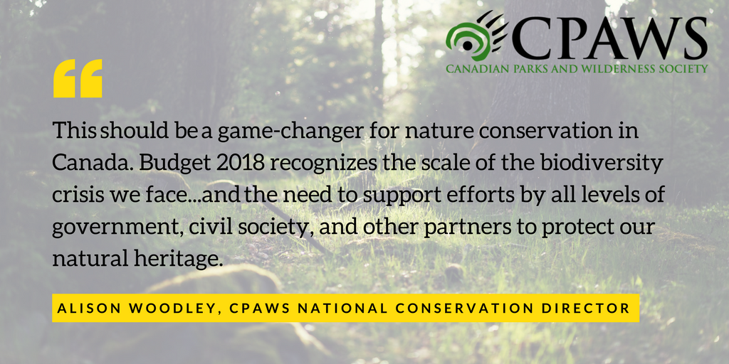 cpawsmb's tweet photo. WOW! An investment of $1.3 billion over 5 yrs will mean so much for conservation across Canada.  Through the creation of new protected areas across Canada, Canada’s wildlife will have a brighter future.  RT to thank @JustinTrudeau and @Bill_Morneau https://t.co/qQe48XFbcL https://t.co/XjpnJJiZjl