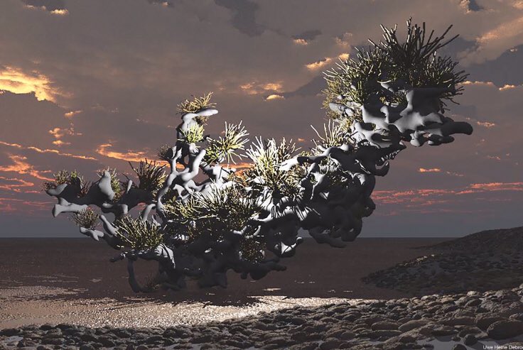 🔥 work by Vision Organica(it's pretty self-explanatory). magazine.thebosco.com/vision-organic… #thbosco #theboscomagazine #visionorganica