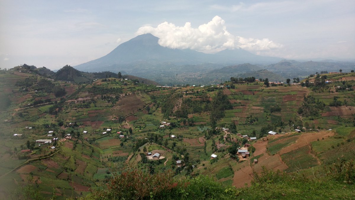 Mutembo2 tweet picture