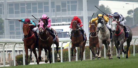 BloodHorse's tweet photo. Slideshow: The Week in Photos for 2/27/2018: Hal's Hope, Daytona, Mine That Bird Derby, Gazebo, Spring Fever, and more! https://t.co/ZEnvJlhpJ4 https://t.co/32mLlTykKj