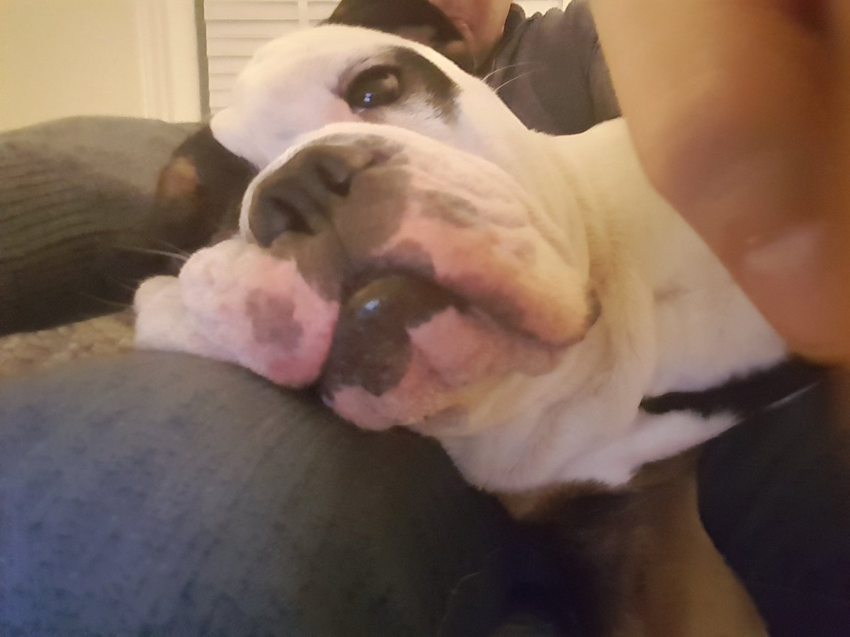 KesleyBul's tweet image. Ik moet eigenlijk ff weg, maar dat wordt lastig zo.