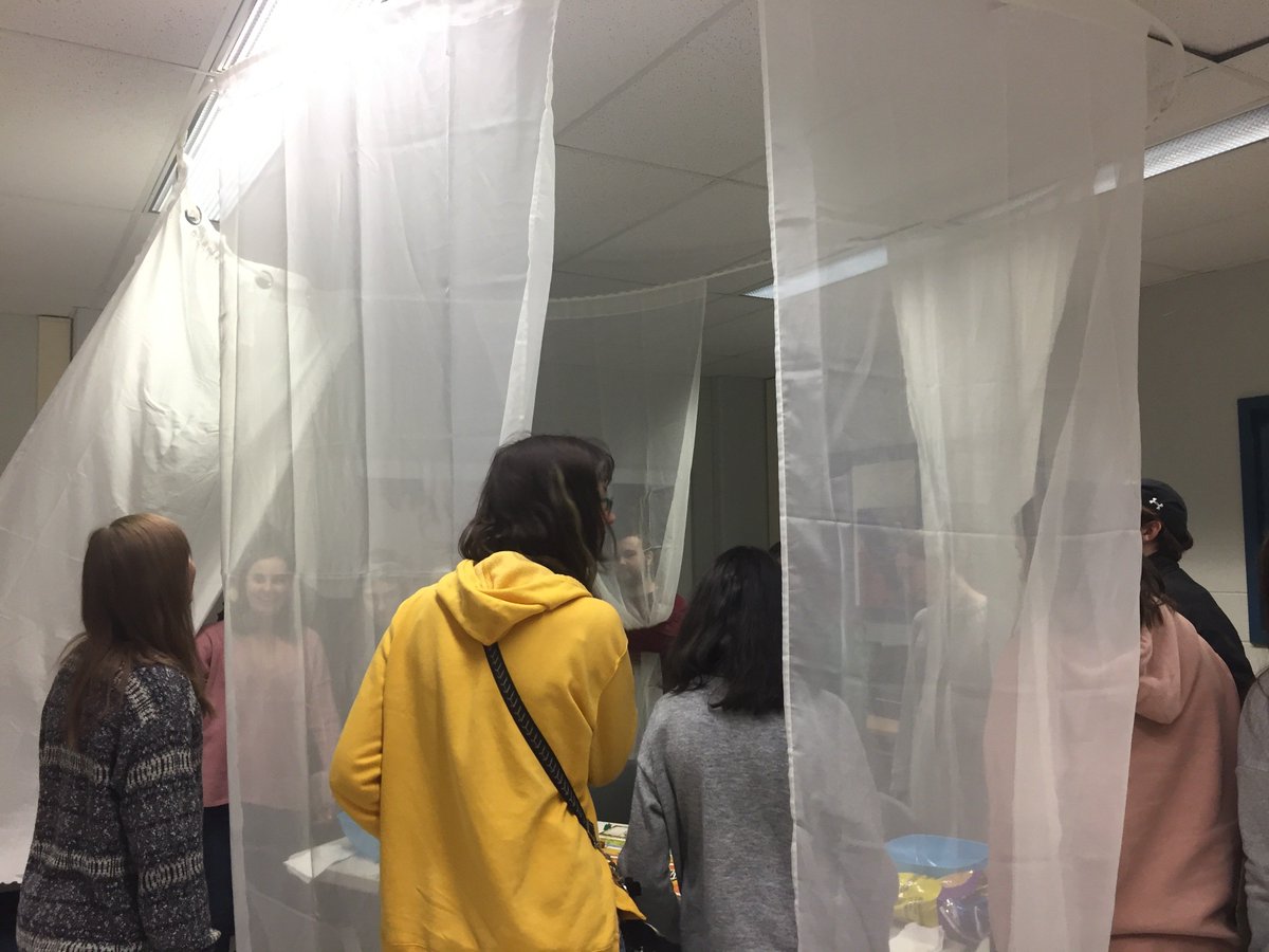 ShutterFotos's tweet photo. "Obscuring your Memories" - veils become the lens, looking into the past moment @bealart @HBBeal @TVDSB @TVDSBglobal #creativity #criticalthinking @innovation What do you see? #createnarratives https://t.co/3ZH5GvCIDx