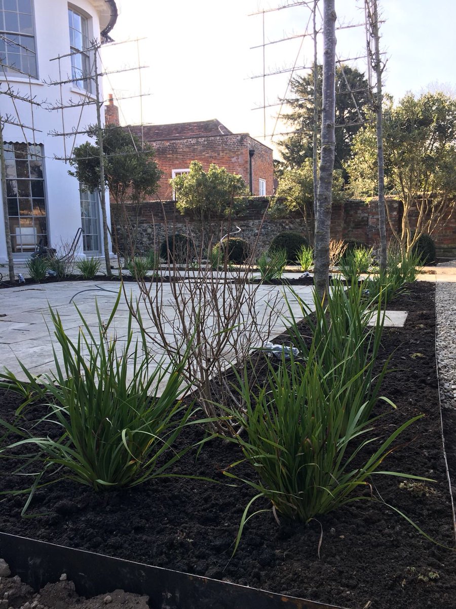 ButterWakefield's tweet photo. Gorgeous little project completed by the ever so clever @michael_darvill fabo green stuff thanks to @deepdaletrees @CTSplants @rickbabylon on the ground team @kappyhawkes @fionasilk https://t.co/ScGPc7O75l