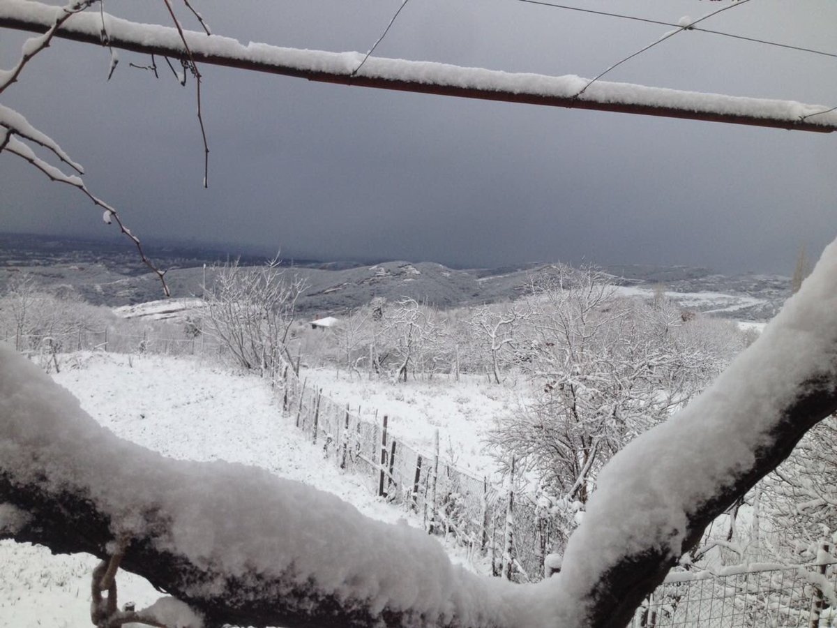 floreccani1's tweet photo. Debor in tirona https://t.co/faTi3R0iP2