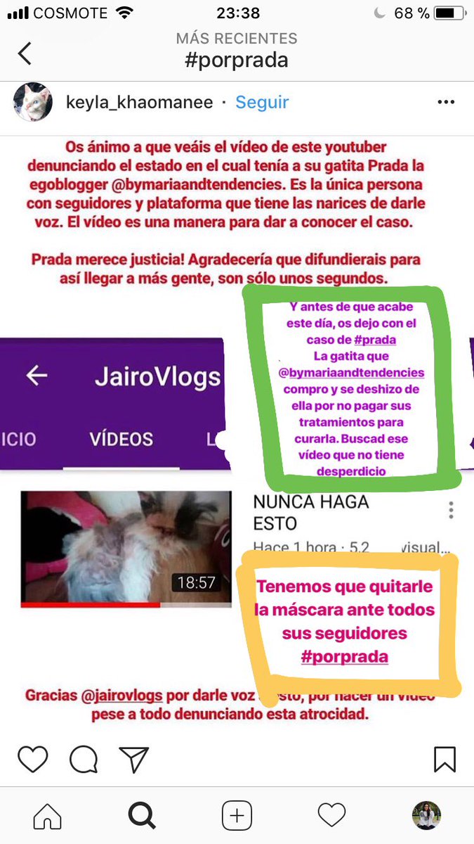 veganoyo's tweet photo. #MaltratoAnimal
Maltrato de la gatita Prada, ex mascota de María del Valle (@bymariaandtendencies). No es el único animal que ha maltratado.
#VaPorPrada
Vídeo: https://t.co/v1yh4Vk6YW
Más info: https://t.co/Az5PRaTnSU
Info de @itsveggie https://t.co/mJYF6Ujc86