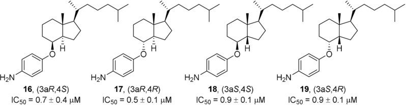 ChemMedChem's tweet photo. Hadden & Wen @UConnPharmacy report their studies with vitamin D3 analogues as inhibitors of #hedgehogsignaling to combat #basalcellcarcinoma #medulloblastoma #anticancer #drugdiscovery https://t.co/Ks1sGblCMl https://t.co/X2wtyjN550