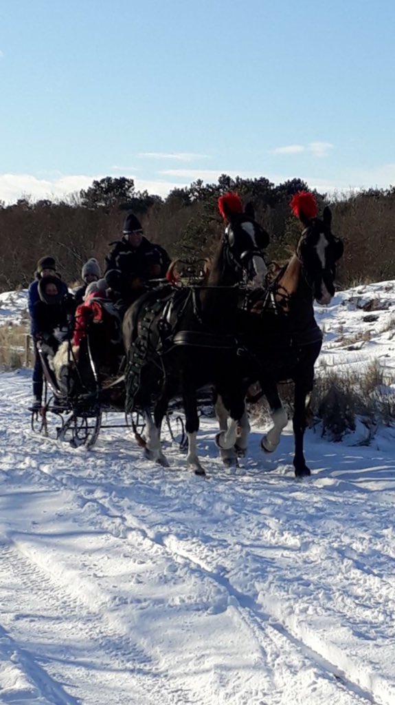 CeChauffeur's tweet photo. En toen was er de #arrenslee #Terschelling #sneeuw #fantastisch https://t.co/DL3LSdvCdE