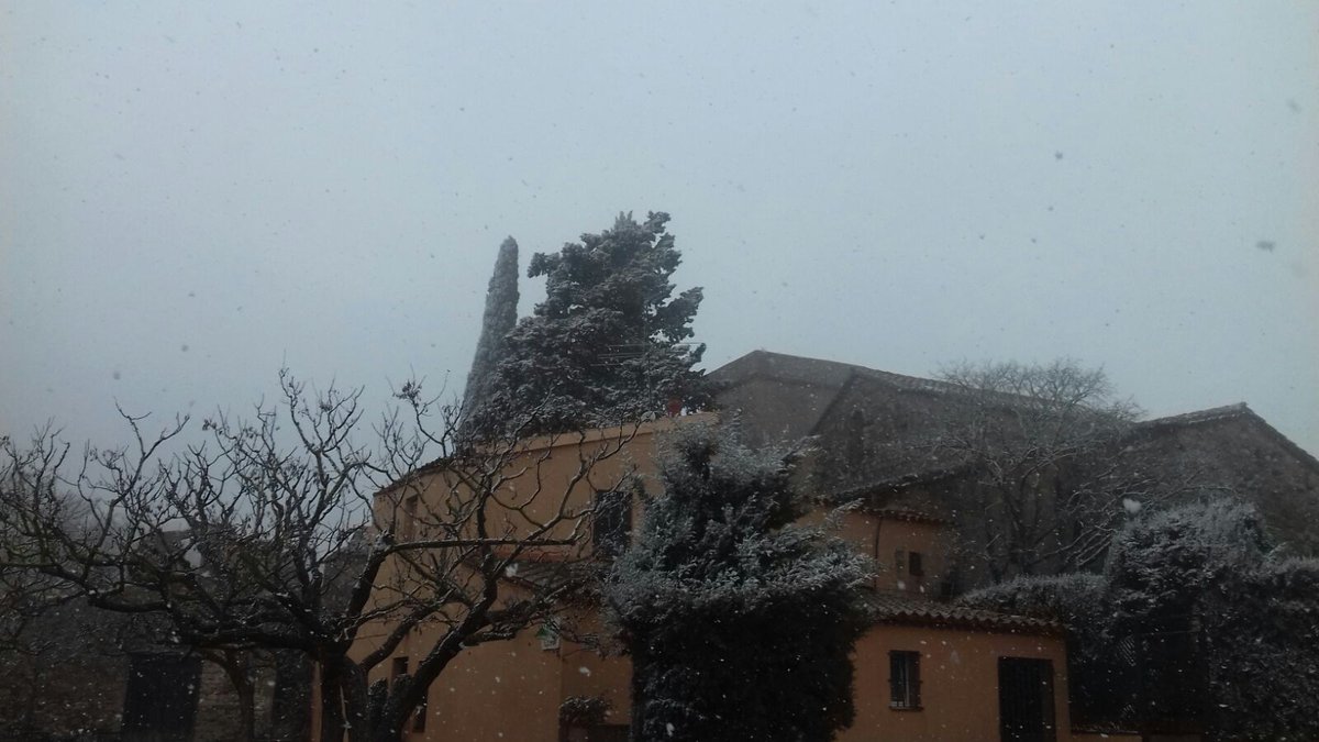 Algunes imatges de la nevada de #Collserola avui