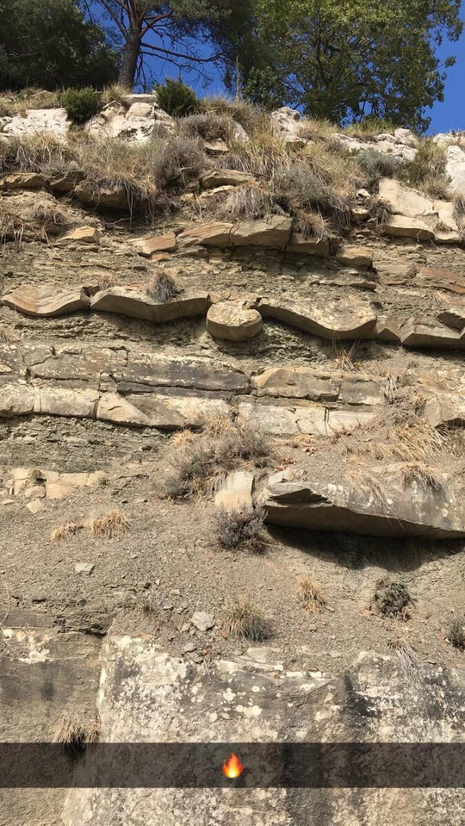 No_Class_tic's tweet photo. Throw back to field assisting in #Peiracava #loadstructures #geology #flames #turbidites #clastic #science #sedimentology #piggybackbasin #softsedimentdeformation #noscale #fieldwork https://t.co/A2Wr67Nmnl