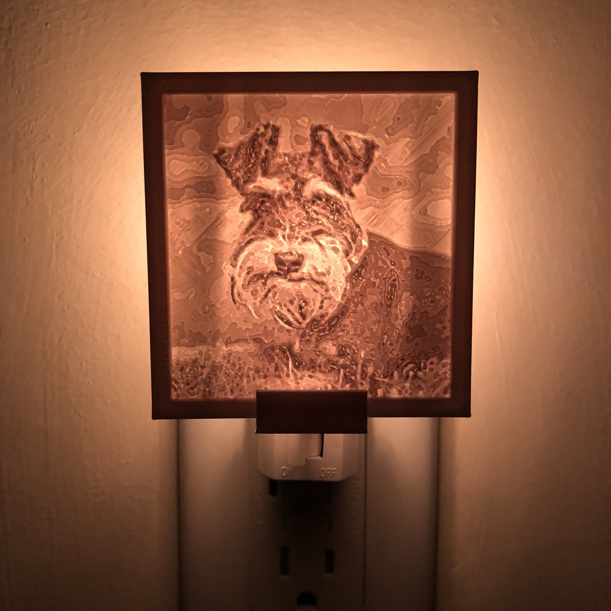 LLNightLights tweet picture