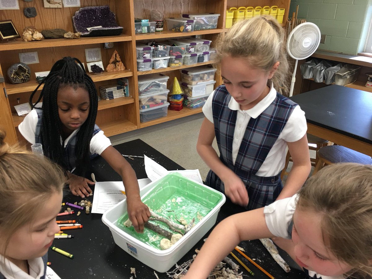 nkucinsam's tweet photo. Amazing beaver dam engineering happening today led by @ellabowling & @CarterNKUCinsam at @StJamesWO with the @CincyCathSchool #nextgenerationstemclassroomproject #handsonmindson #engagedlearners #STEM #scienceforall https://t.co/mQxvECQUbE
