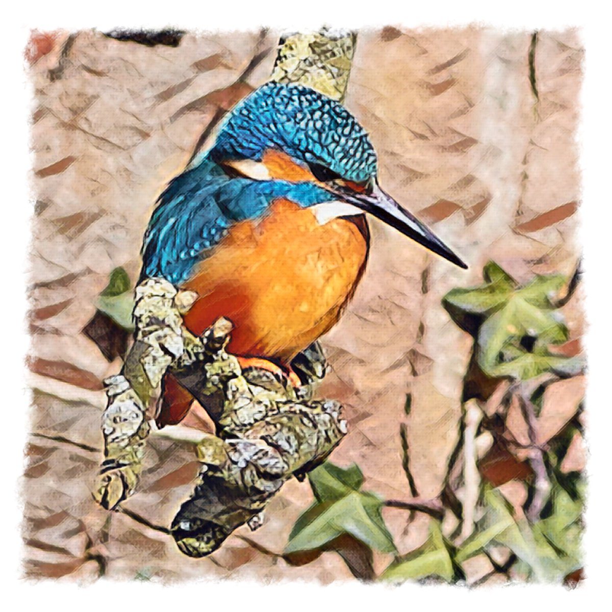 Interpretation of beautiful kingfisher on the banks of the river Stour at Blandford this morning. <a href="/DorsetWildlife/">Dorset Wildlife Trust</a> <a href="/DorsetLifeMag/">Dorset Life</a> <a href="/Natures_Voice/">RSPB</a> @RSPBSouthWest  #wildlifephotography #birds #kingfisher #blandford #riverstour