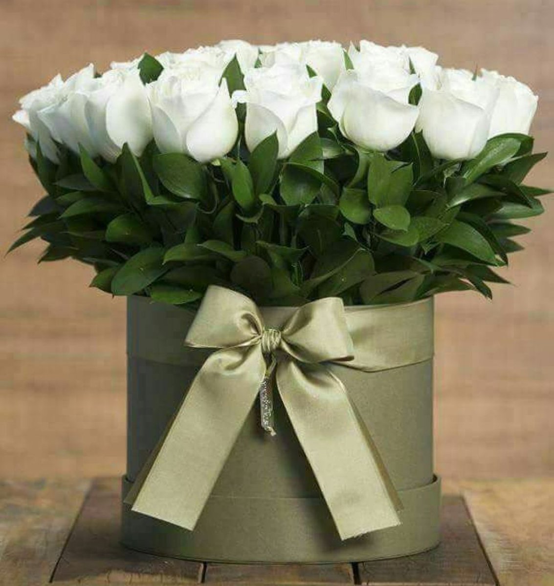 CH5nCBhhyZf3mqQ's tweet photo. مساء الورد https://t.co/yE1aDoN0lF