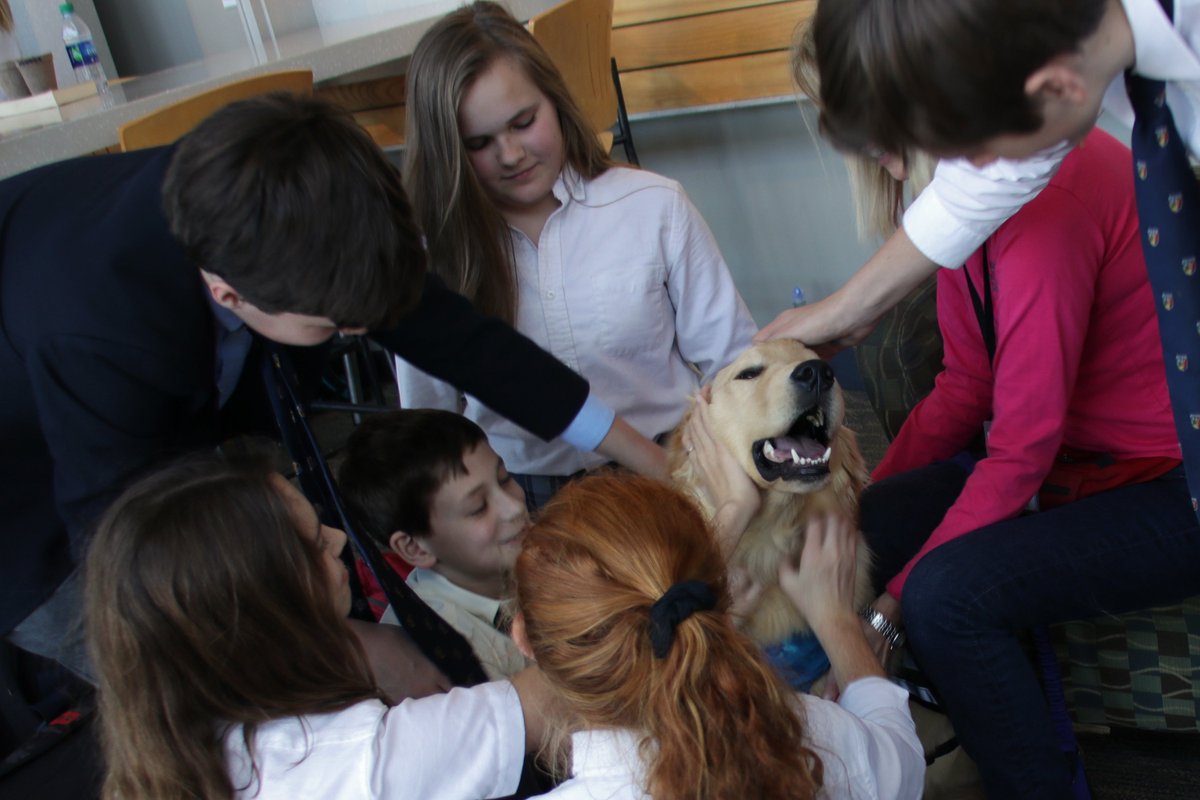 Come to Ivy and de-stress before exams. <a href="/MaristSchool/">Marist School</a> <a href="/MaristFam/">Marist Fam</a>