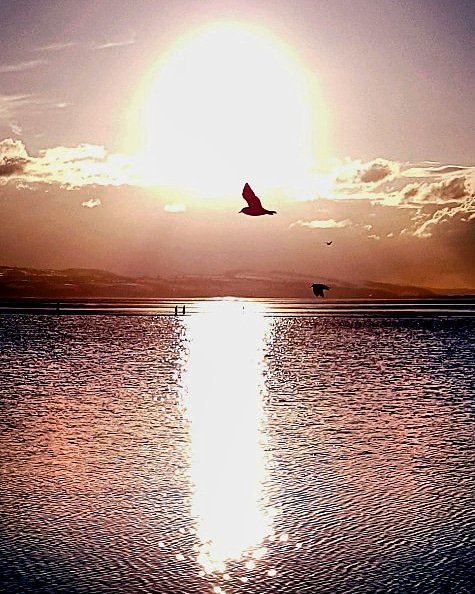 MunchlyM's tweet photo. Ooo #westkirby 
#winter #sunset looking across to #northwales https://t.co/RlbjdZSehM