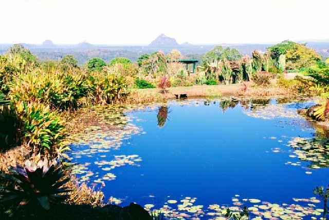 _Debbielee's tweet image. &apos;breathtaking&apos; #malenybotanicalgardens #magicalviews #landscapephotography #mybackyard
