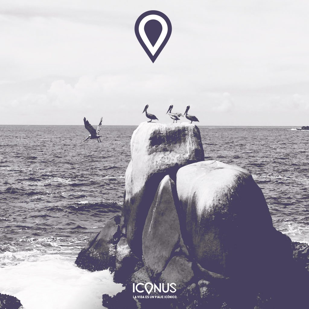 Iconus_app's tweet photo. Descubre tu paraíso.
Descubre #iconus. https://t.co/7g3DKRiE8e