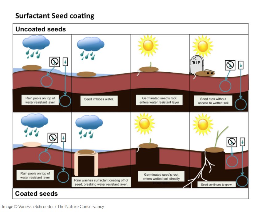 will innovative seed coatings provide a solution to aridland restoration?
blog.nature.org/science/2018/0…  excellent visuals!