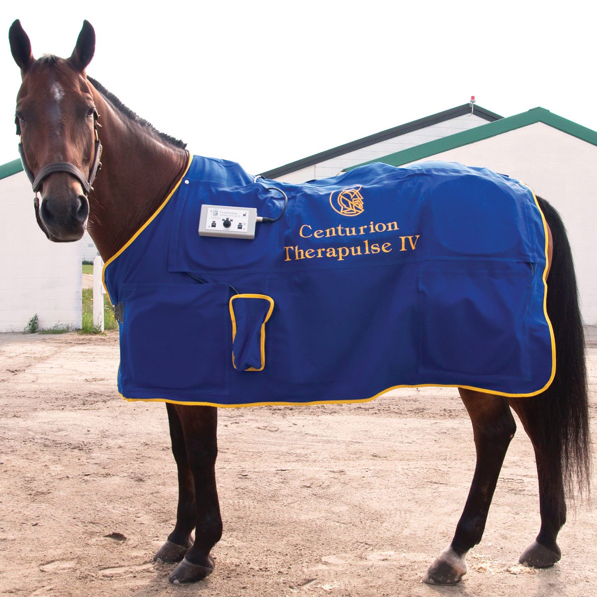 ELEC_Western_Md's tweet photo. Ian Millar’s Boreas 
"There's every reason to be in love with the Boreas," . (905) 238-4860. #HorseRacing #Horses #HorseHour  #equestrian 
#HorseRacing #horseracingtips 

https://t.co/EpiziYfZIs 

@HorsesinTexas https://t.co/sB4DPwfirr
