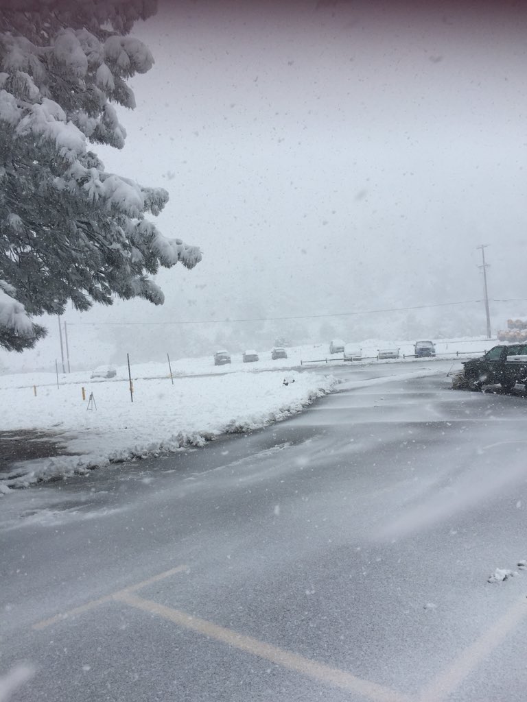 CVESD_SchoolBus's tweet photo. Successfully delivered some @CVVoyagers to #CampCuyamaca in 3 inches of snow! In all kinds of weather, our buses keep on rollin! #ThisIsHowCVESDRolls https://t.co/TbX6L3RnNI