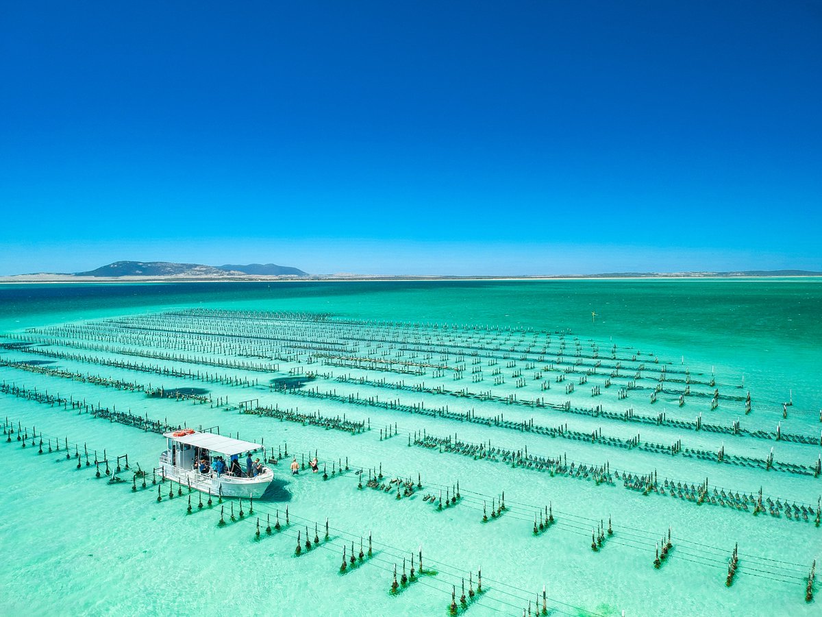eyre_peninsula's tweet photo. Enjoy delicious food, incredible wine and the turquoise waters of Coffin Bay at @TastingAus Yacht Club Party on April 14 with @GastroPunKoz @Africola_ @MorgyGalinha @BellesHC Pic: @_MarkFitz  https://t.co/tJjFLOJe5n #TastingAus #EyrePeninsula @southaustralia  @CoffinBayOyster https://t.co/47BUVhnQN1