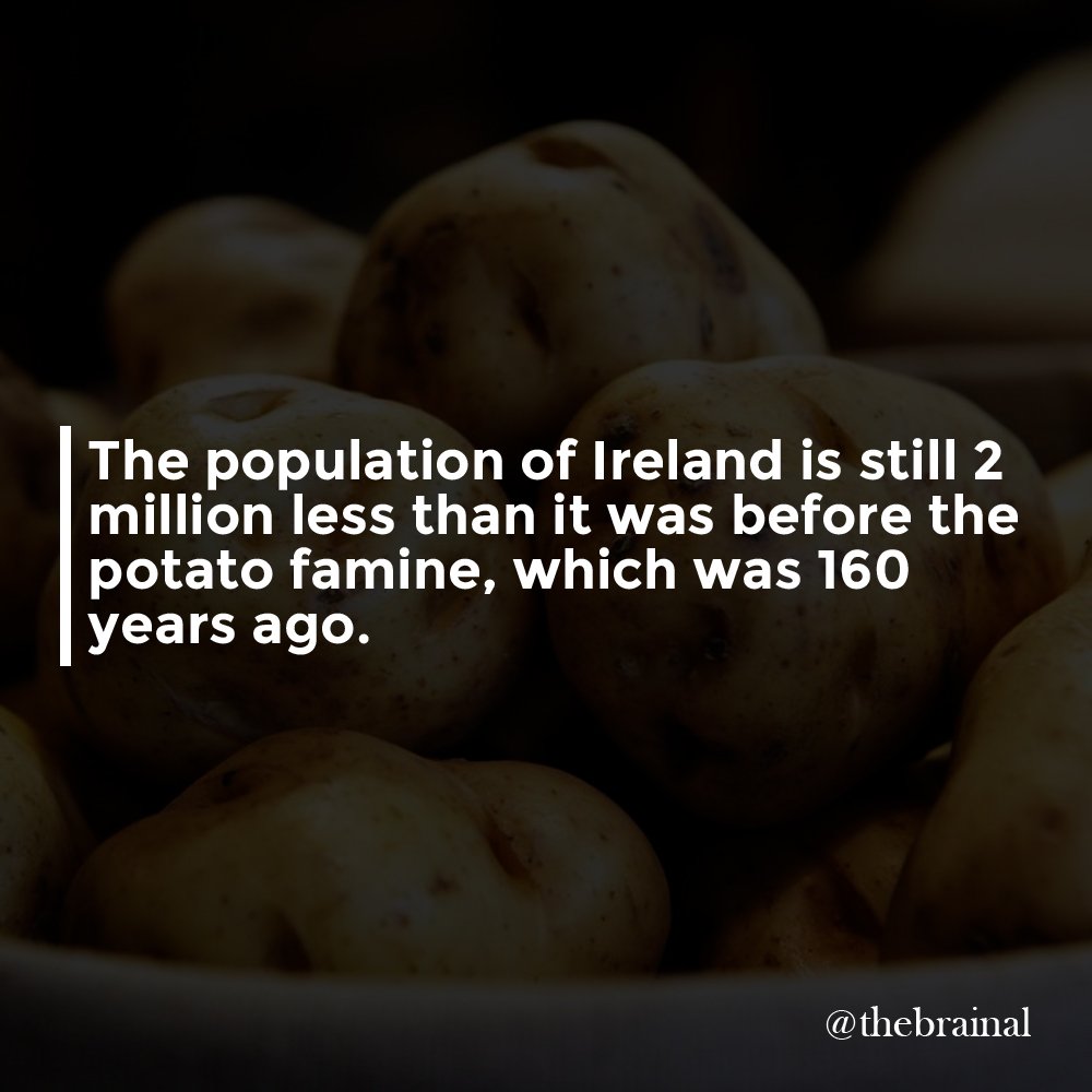 thebrainal's tweet photo. The #population of #Ireland is still 2 million less than it was before the #potatofamine, 160 years ago.

#people #population #geography #peoplefact #populationfact #geographyfact https://t.co/OOOc5KJ2TS