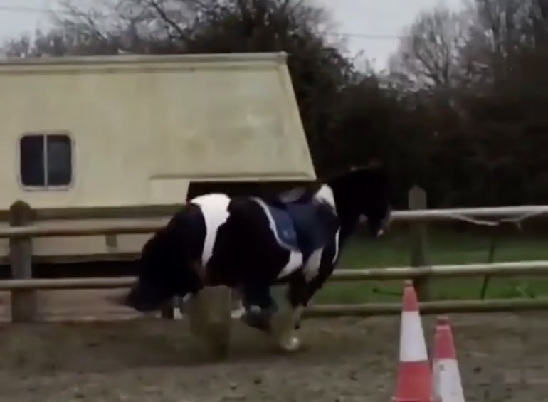 EventingConnect's tweet image. It's ponies like this that teach you how to ride - VIDEO Break #HardLessons #Equestrians #PonyProblems #EquineHour #TwoHearts eventingconnect.today/2018/02/27/its…