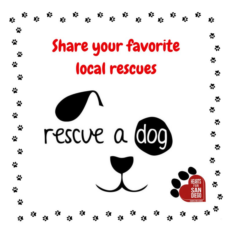 HeartsForSD's tweet photo. ATTENTION pup parents! We're looking to connect with MULTIPLE local dog rescues 🐕🐾 for an upcoming event. Please share your favorite rescues with us, or tag them so they're on our radar. Mark your calendars 🗓️ for the afternoon of April 21st, stay tuned for more details! #sd https://t.co/uR2bLckOr8