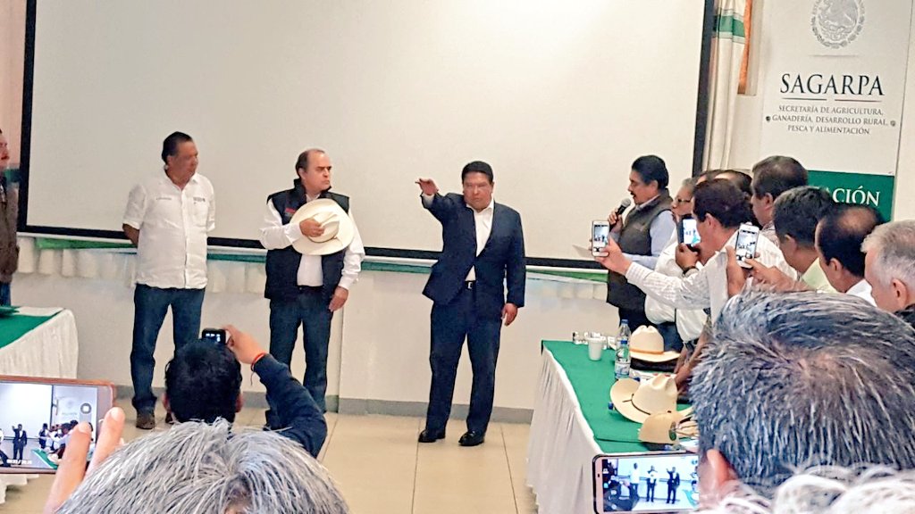 RigobertoGomez_'s tweet photo. Felicitaciones especiales para @AdolfoToledo_ agrónomo de probada trayectoria, por su nombramiento como  delegado de @SAGARPA_Oax le deseo mucho éxito y estoy seguro que trabajará por el bien del #CampoOaxaqueño @ramirohdezg @mendiviltony @Sedapa_GobOax @jesusalcantaran https://t.co/sQuphkgu4W