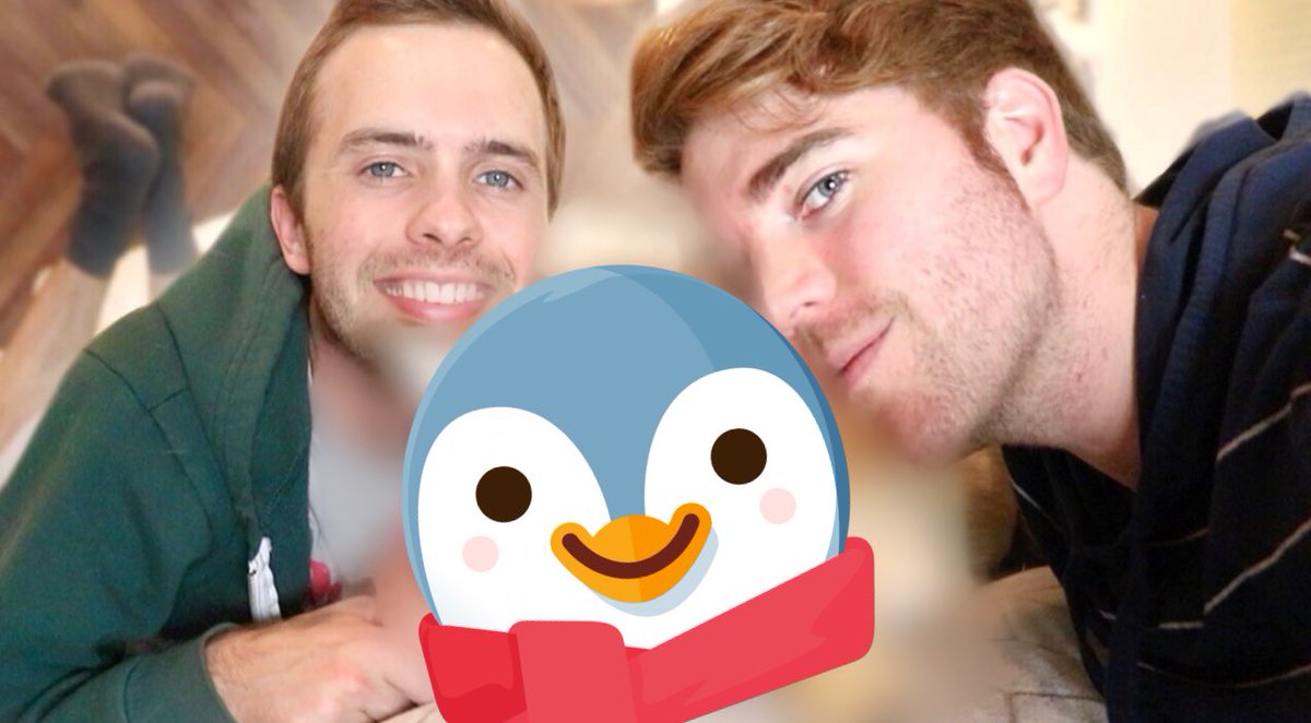 shanedawson's tweet photo. NEW VIDEO TOMORROW!!!! 😍❤️🐷 https://t.co/cFhfFunlpH