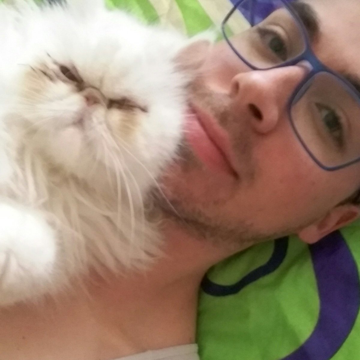 BlondThinking24's tweet photo. #NuevaFotoDePerfil #SayMeow https://t.co/fFvd2u4JP3