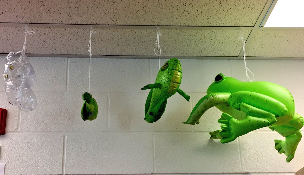 Mgikov's tweet photo. Inquiries will take you to places you never imagined and teach you things you weren’t even planning on learning. A boy in our class brought in the book ‘fish is fish’ and I found these hidden in my closet from years ago.. #fishisfish #lifecycles https://t.co/hZ3lVkpoPJ