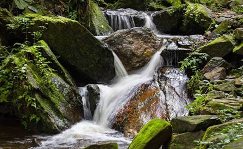 iamthatemi's tweet photo. @Tunnyking @Kilometre51 @SarahKagingo @Rouvafe @sire_liljosh @KingAbsolute_ @Baddest_Law @T_oluwani I rep osun state. Erin Ijesha water fall.  For those who haven't visited it,  you should try to

I challenge @T_meOfficial @SegunOladejo_ and @iam_bankole1  to rep their wakanda #MyBeautifulAfrica https://t.co/nc09uwphpG