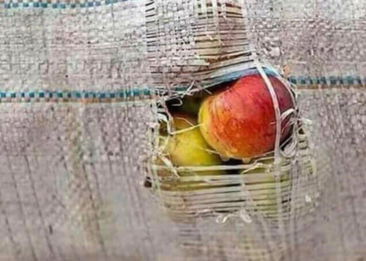 بندر tweet media