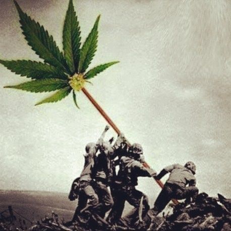 Hemp_Lords's tweet photo. bigbudfactory:

weedstagram https://t.co/r2iMwEInqC https://t.co/kzJpmT0yeZ