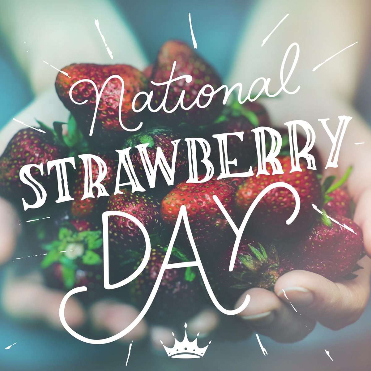 ZTA Indy Alumnae tweet media