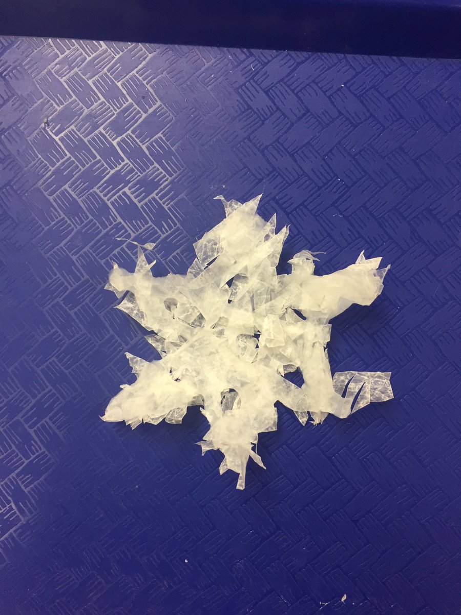 PlumbCaitlin's tweet photo. @MysterySci Why is Snow White? #WeMadeSnowflakes @GWCarverES  #Plumb2nd https://t.co/RKoCqKPlCB